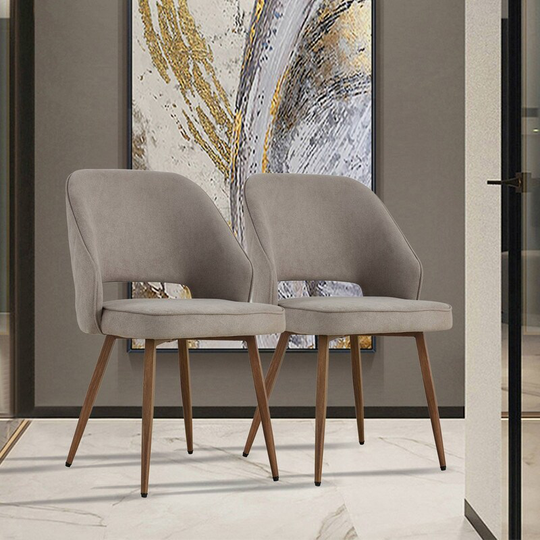 Modern Upholstered Side Chair Dining Chairs (Set of 2)