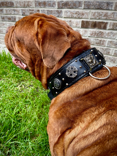 Dogue De Bordeaux Leather Collar With Conchos & Rivets Studs, French Mastiff Soft Padding