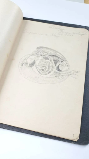 Vintage High School Biology Class Project Binder, Pencil Drawings, 1940S, Paper Ephemera, Scrapbooking Collage, Student Artwork
