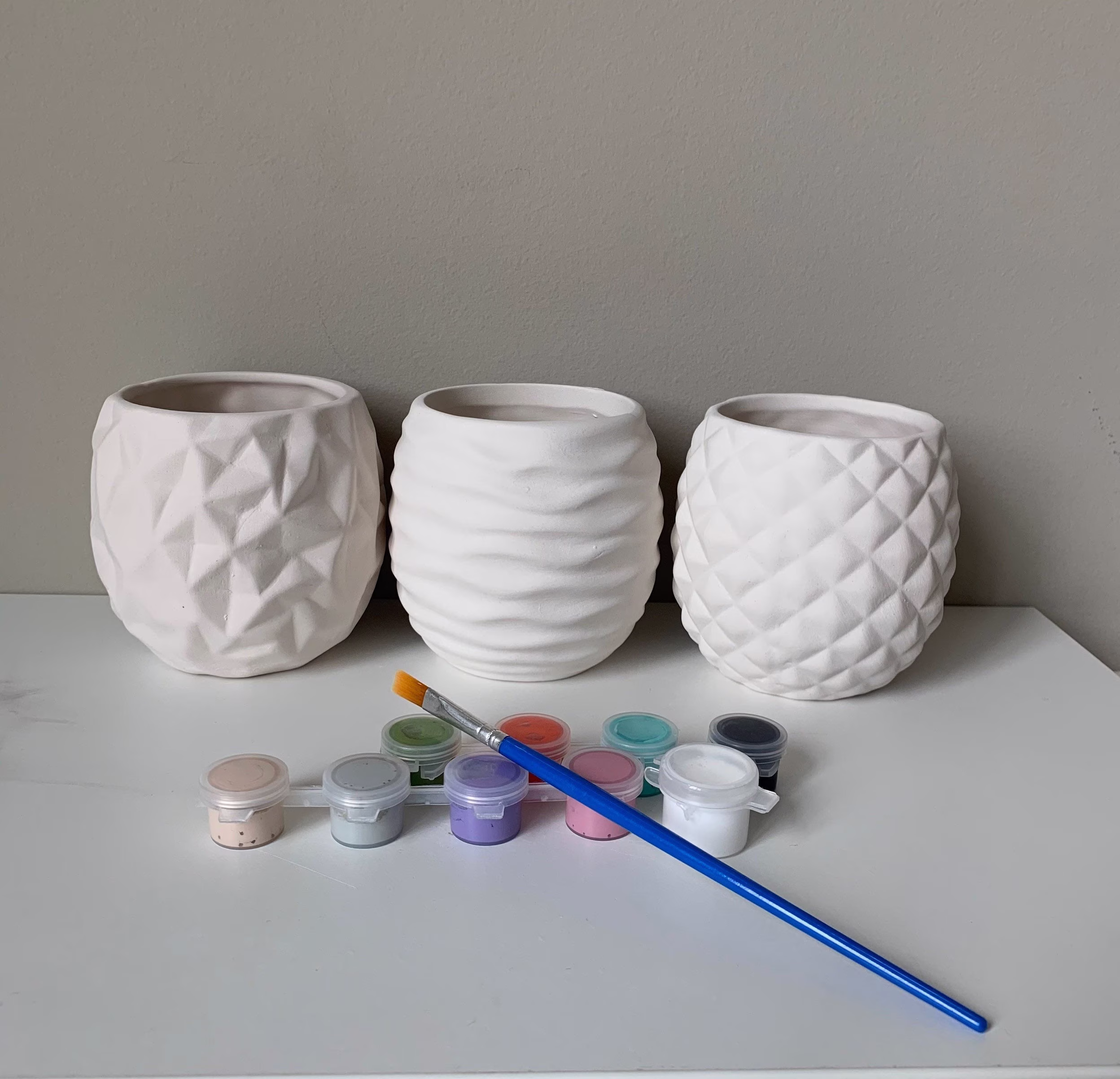 Diy Pottery Painting Kit, Succulent Planter Kit, Virtual Paint & Sip, Team Building Event Craft, At Home Pottery Painting, Date Night Kits