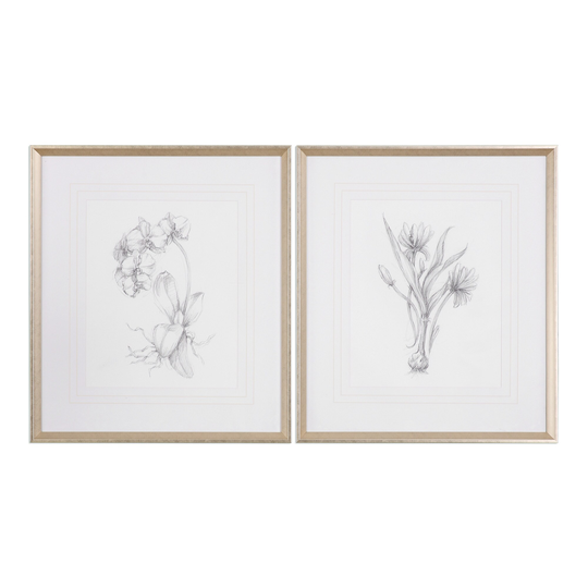 Uttermost Botanical Sketches Two Piece Framed Botanical Print Set by - Pencil / Silver Leaf Frame