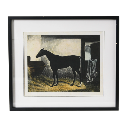Horse Print with Wood Frame - Multi-Color