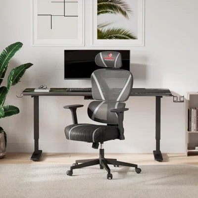 Eureka Ergonomic Mesh Home Office Chairs Dual Back 3D Lumbar Support Reclining Chair