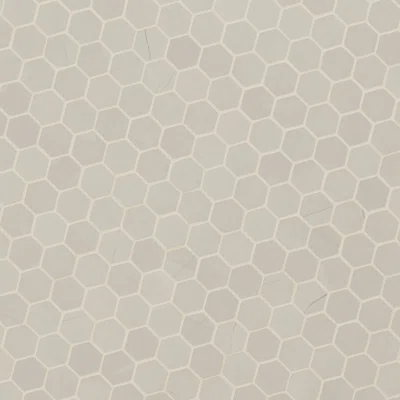 Sande 2" x 2" Hexagon Porcelain Mosaic Wall & Floor Tile