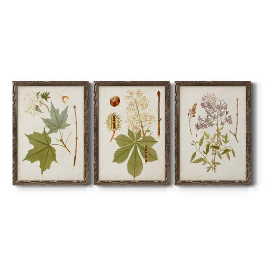 Antique Leaves VII-Premium Framed Canvas - Ready to Hang - Multi-Color