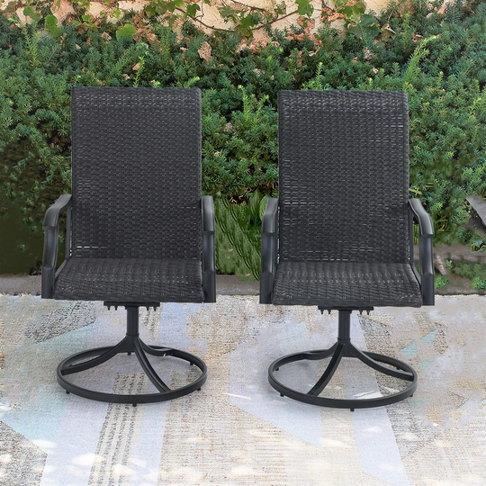 Outdoor Patio 2-Piece PE Rattan Dining Chair Set