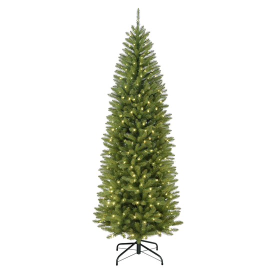 Fraser Fir
