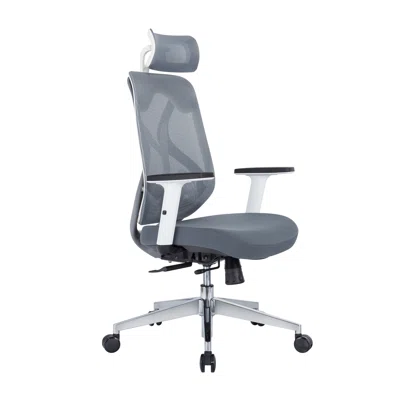 Fully Adjustable Ergonomic Office Chair