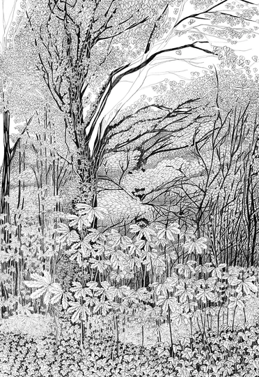 Tree Drawing, Archival Art Print, Woodland Print, Lagom Picture, Nordic Charm Image, Detailed Pencil Illustration Of Forest, Black & White