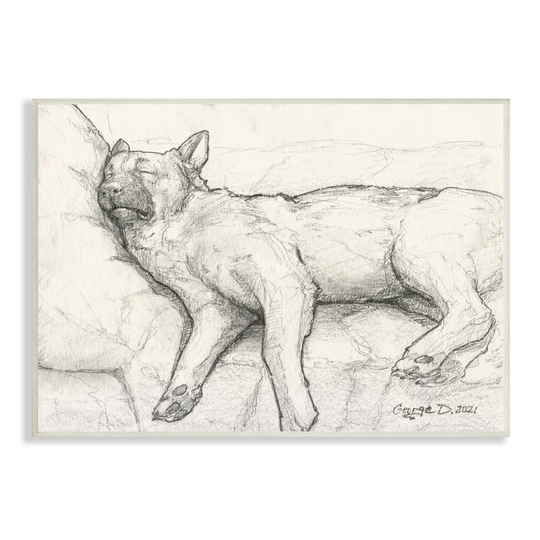 Stupell Industries Tired Dog Sleeping Intricate Graphite Pencil Sketch Wood Wall Art, Design by George Dyachenko - Off-White