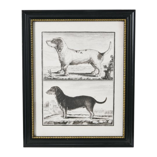 Vintage Reproduction Dog Print with Wood Frame - Multi-Color