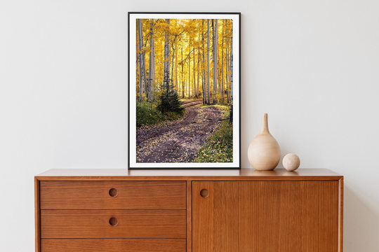 Aspen Forest Road Print, Fall Colors Photo, Wall Art, Home Decor, Landscape Photography By Daniel Forster