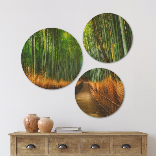 Designart 'Arashiyama Bamboo Grove Japan' Forest Wood Wall Art Set of 3 Circles - Multi-Color