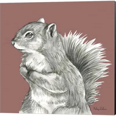 Watercolor Pencil Forest Color (Rabbit, Squirrel & Doe) By Kelsey Wilson, Canvas Art (Set Of 3)
