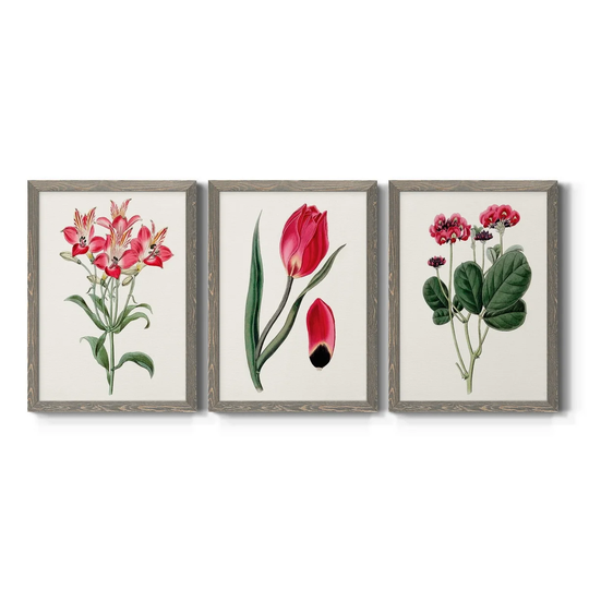 Roseate Blooms I-Premium Framed Canvas - Ready to Hang - Multi-Color