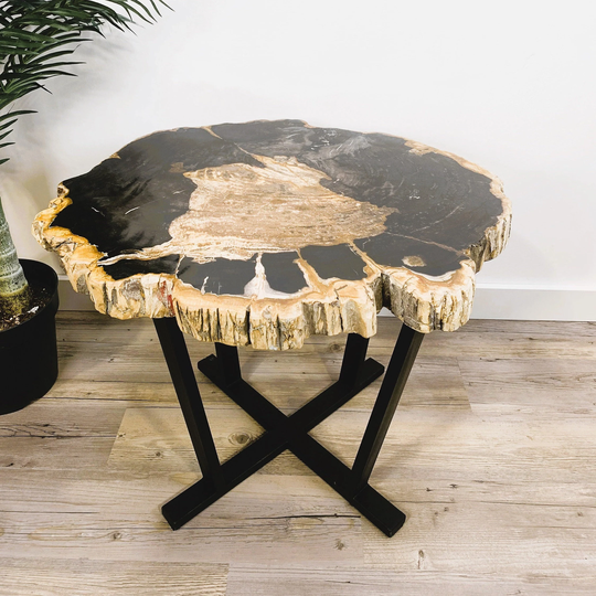 Natural Petrified Wood Table, Live Edge Side Handcarved Petrified Wood Slab, Rustic Coffee Accent