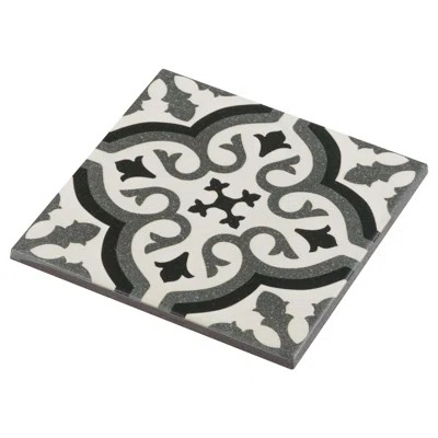 6" x 6" Porcelain Patterned Wall and Floor Tile