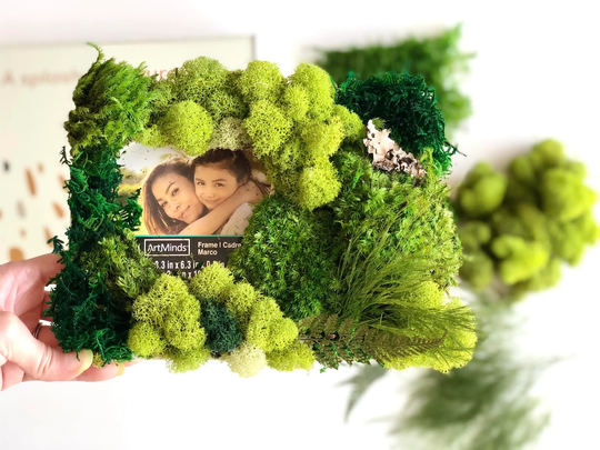 Diy Moss Frame Kit, Create A Frame, Photo Unique Nature Lover Birthday Gift, Wood Art, Gift