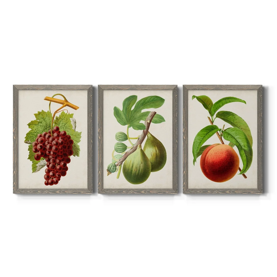Antique Fruit III-Premium Framed Canvas - Ready to Hang - Multi-Color