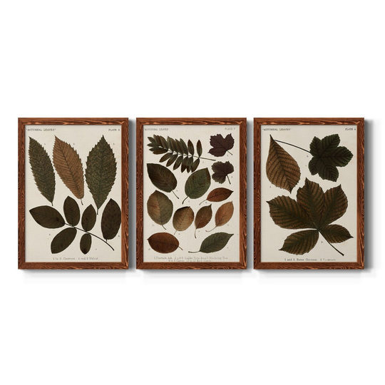 Autumnal Leaves I-Premium Framed Canvas - Ready to Hang - Multi-Color