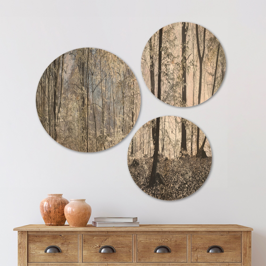 Designart 'Dark Morning in Forest Panorama' Landscape Wood Wall Art Set of 3 Circles - Multi-Color