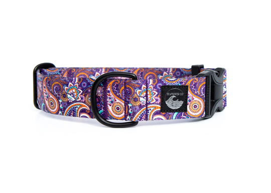 Paisley Dog Collar | Purple Pet Abstract Black Metal Girl Boy Summer Martingale Durable