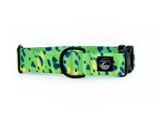 Mahi Dog Collar | Fishing Pet Nautical Stainless Steel Black Metal Girl Boy Summer Martingale