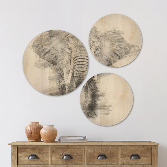 Designart 'Black and White Elephant Pencil ketch' Animals Wood Wall Art Set of 3 Circles
