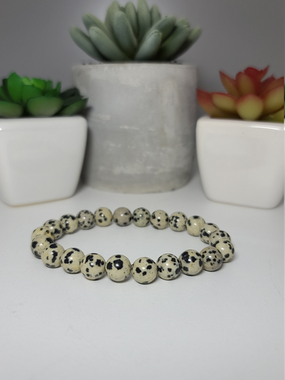 Dalmatian Jasper Beaded Bracelet