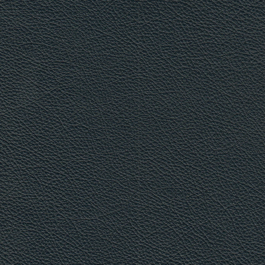 Copalis Genuine Leather Sofa