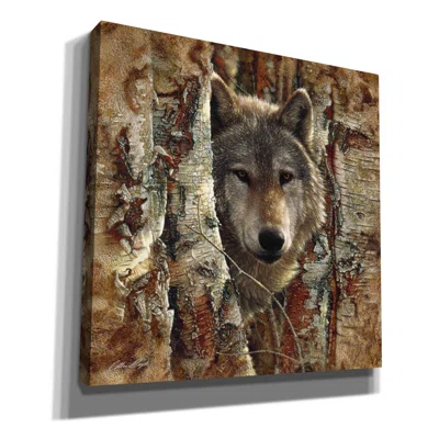 Millwood Pines 'Wolf Spirit' By Collin Bogle, Canvas Wall Art