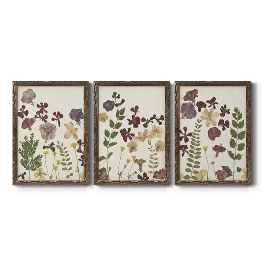 Pressed Flower Arrangement IV-Premium Framed Canvas - Ready to Hang - Multi-Color