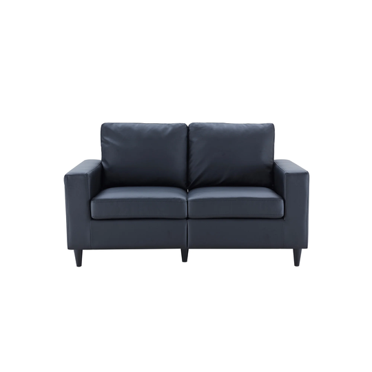 2 Seat Sofa PU Leather High Resilience Foam Upholstered Couch Living Room Loveseat