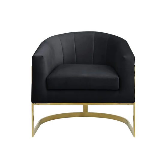 Best Master Furniture Upholstered Velvet Accent Chair