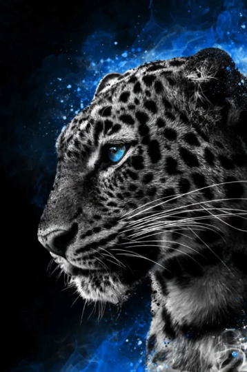 Dangerously Beautiful Kitty Diy 5D Diamond Painting Kit Full Square & Round Drill