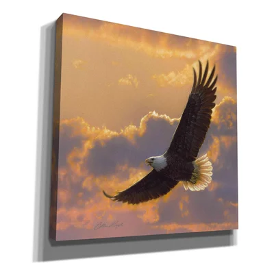 Millwood Pines 'Soaring Spirit' By Collin Bogle, Canvas Wall Art