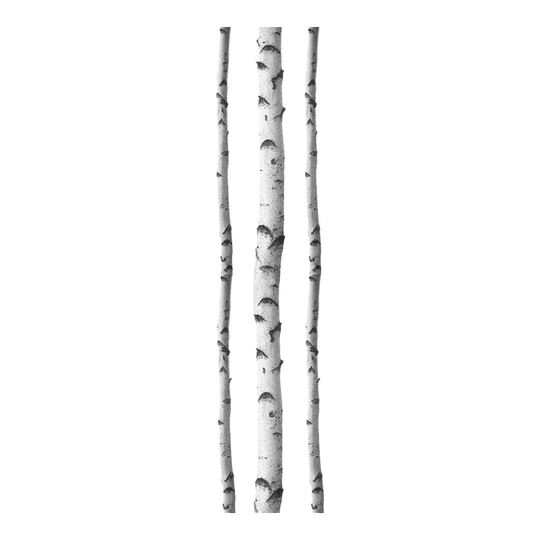 Silver Birches Wall Art Kit
