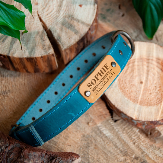 Leather Dog Collar Personalized, Blue Yellow Boy Girl, Stand With Ukraine, Custom Name Plate