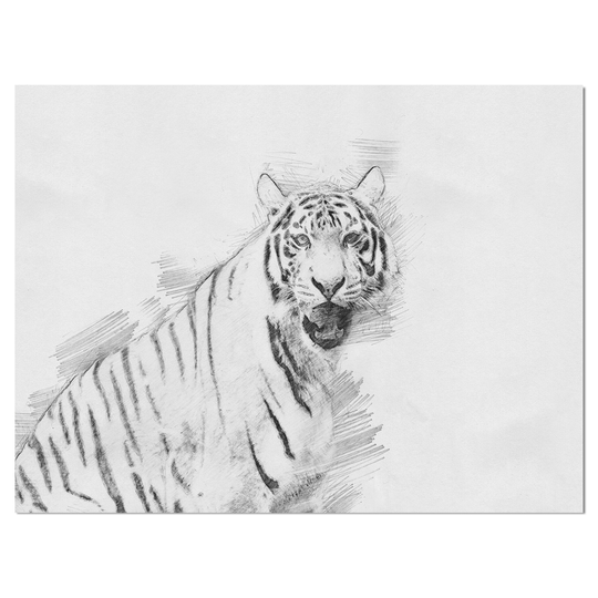 Designart 'Tiger in Black And White Pencil Sketch' Sketch Animals Print on Wrapped Canvas on Wrapped Canvas