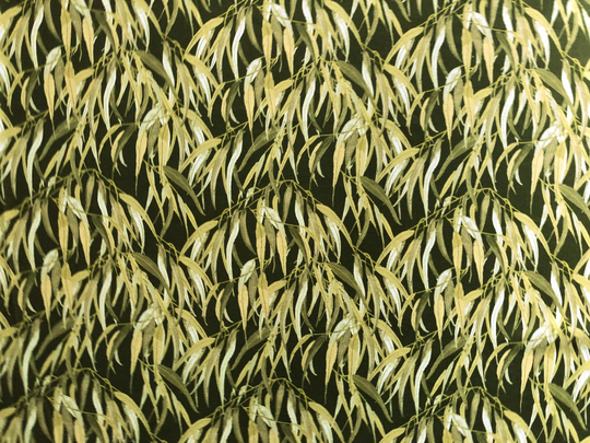 Eucalyptus Leaves All Over Olive Green Quilting Cotton Fabric By 1/4, 1/2 Yard Or Fat Quarter, Australian Native Gum Blooming Floral