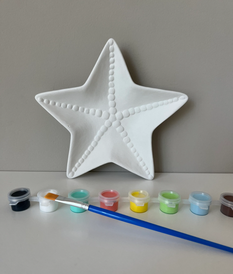 Diy Pottery Painting Kit, Starfish Dish Ceramic Art Kits For Kids, Birthday Party Paint Kit, Kids Kits, Craft Party Supply, Box