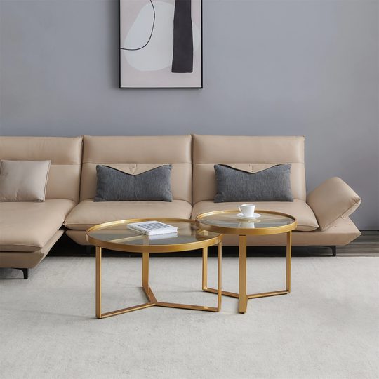 Modern Nesting coffee table set of 2 one big and one small