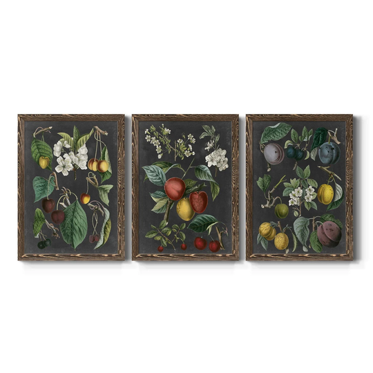 Orchard Varieties II-Premium Framed Canvas - Ready to Hang - Multi-Color