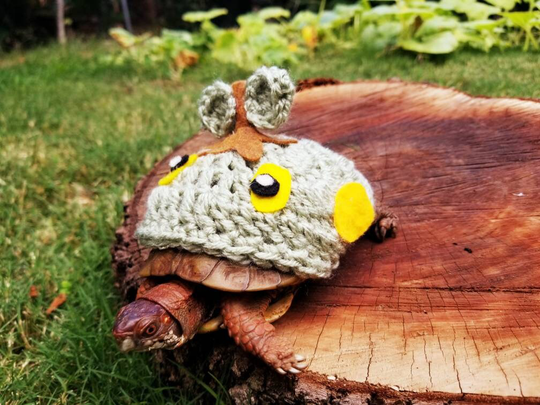 Grass Turtle Inspired Crochet Costume For Turtles/ Tortoises