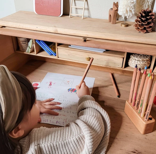 Pencil Holder For Lyra Waldorf Selection