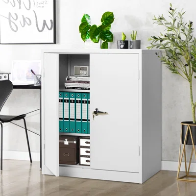 Iaconetti Storage Cabinet