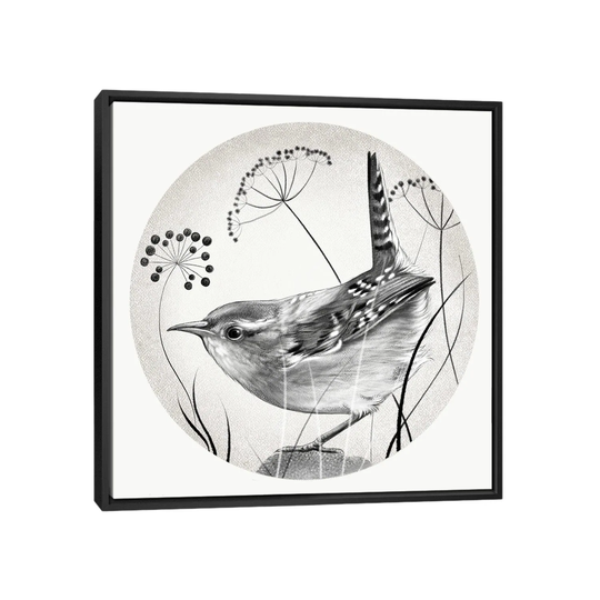 iCanvas "Wren In Pencil" by Vicki Hunt Framed Canvas Print