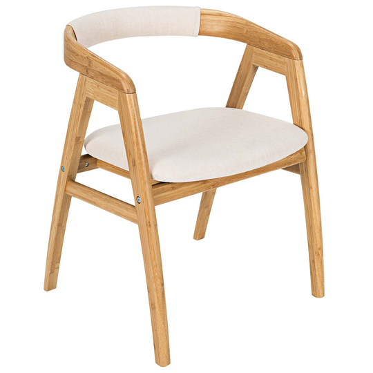 Modern Accent Chair Painted Surface Armchair Leisure Chairs