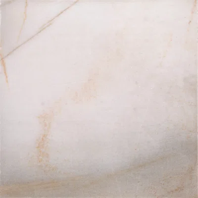 Honed Star 16" x 16" Natural Stone Wall & Floor Tile