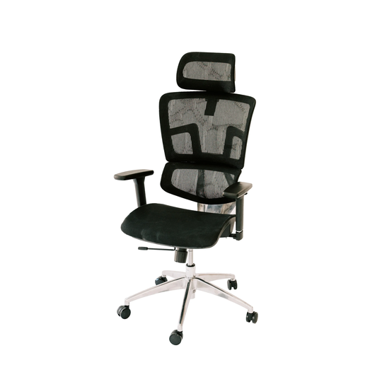 ErgoMax Ergonomic Office Chair Height Adjustable, Breathable Mesh Fabric, Home Office Chair, 53 in. Max Height